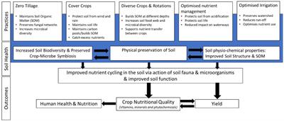 Do agronomic approaches aligned to regenerative agriculture improve the micronutrient concentrations of edible portions of crops? A scoping review of evidence